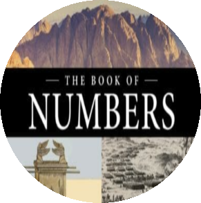 The Book Of Numbers